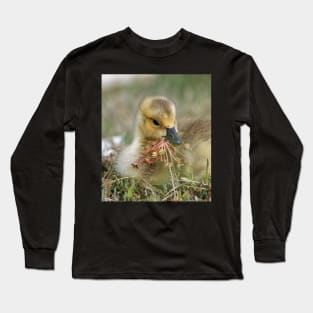 Baby Bird eating Water Flowers Long Sleeve T-Shirt
